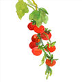Image Not Available